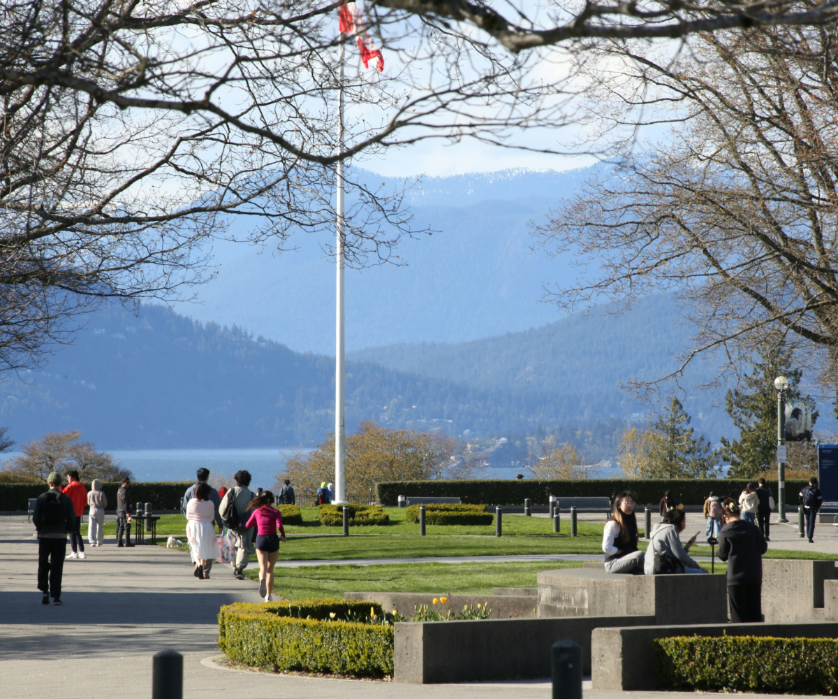act-fast-canada-delays-pgwp-program-removal-to-early-2026-